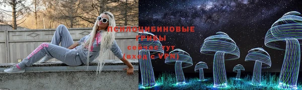 трава Нязепетровск