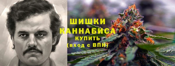 трава Нязепетровск