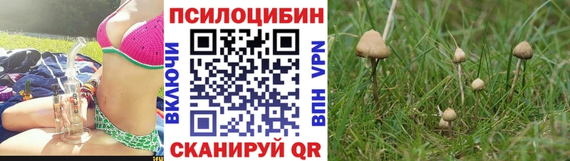 мориарти телеграм наркота Кольчугино Галлюциногенные грибы MAGIC MUSHROOMS mega как зайти